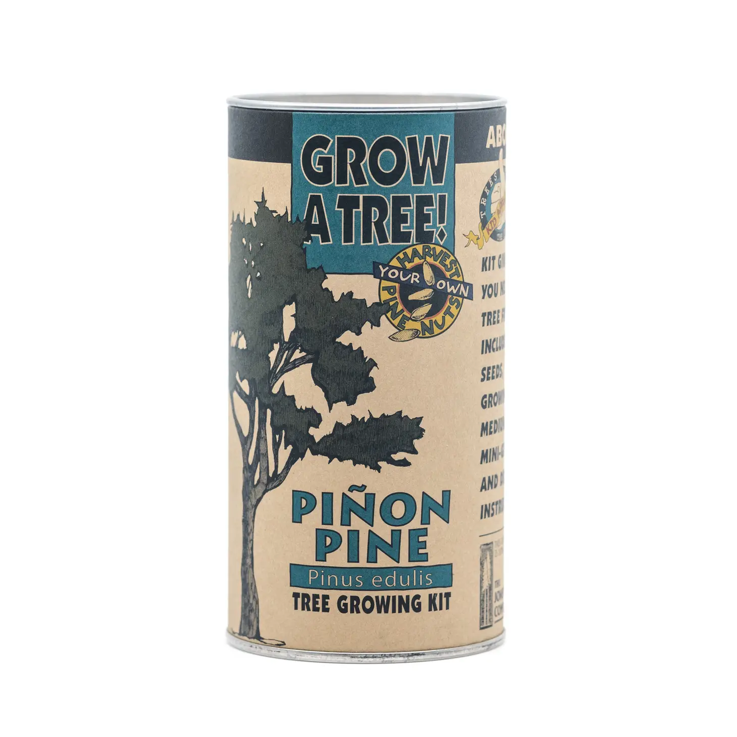 Pinon Pine Grow Kit