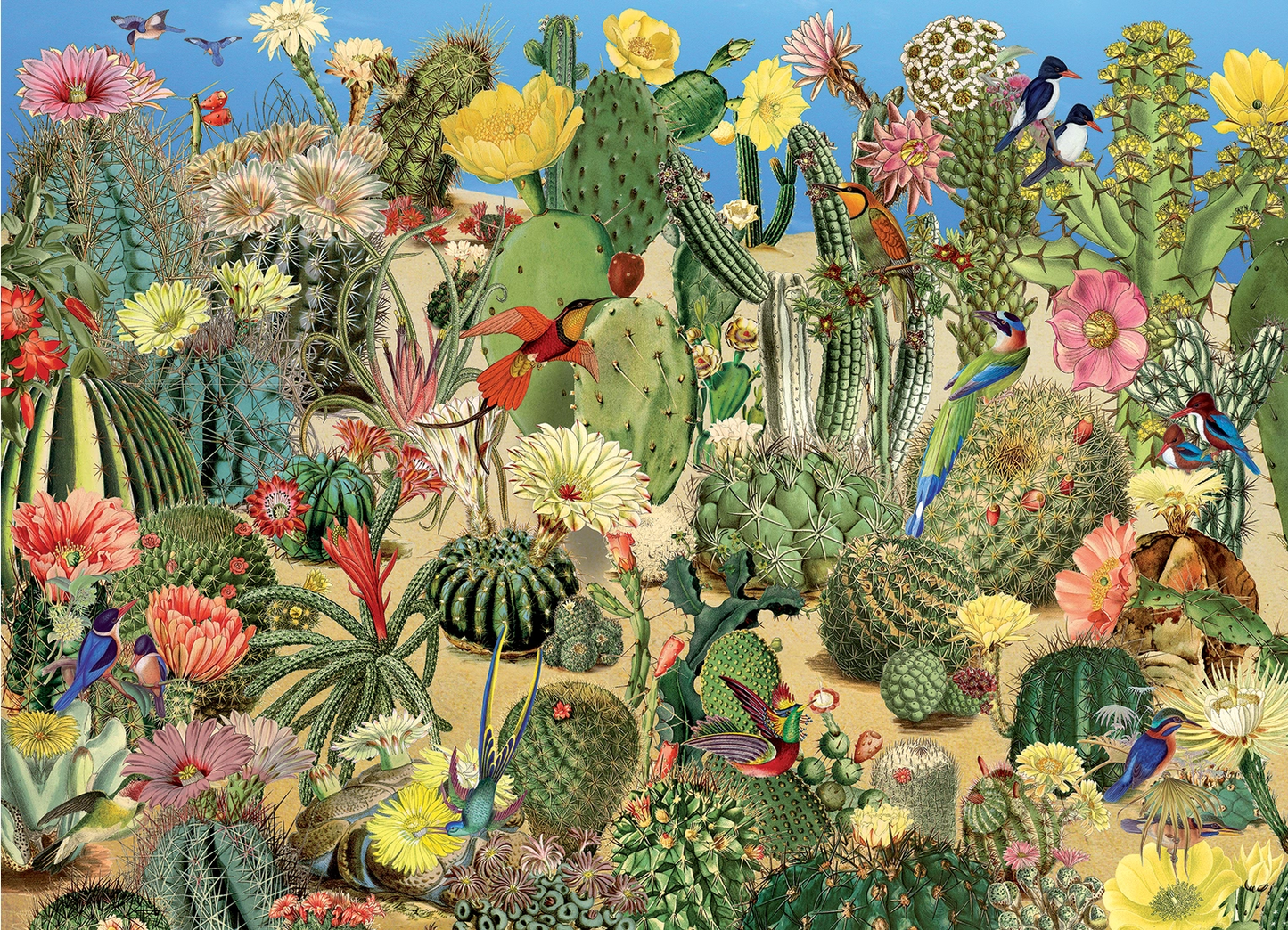 Cactus Garaden Puzzle 1000pc