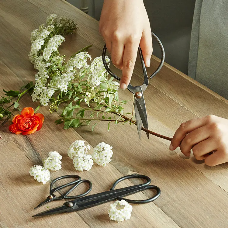 Garden Shears Set