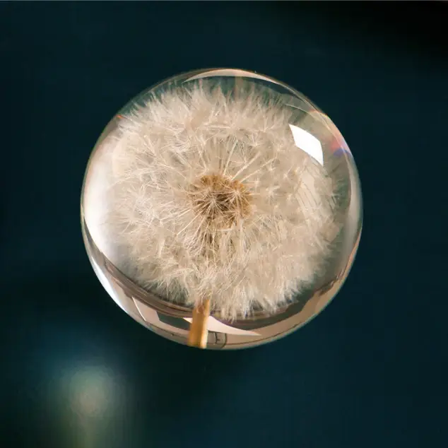 Natural Flower Glass Resin - Dandelion