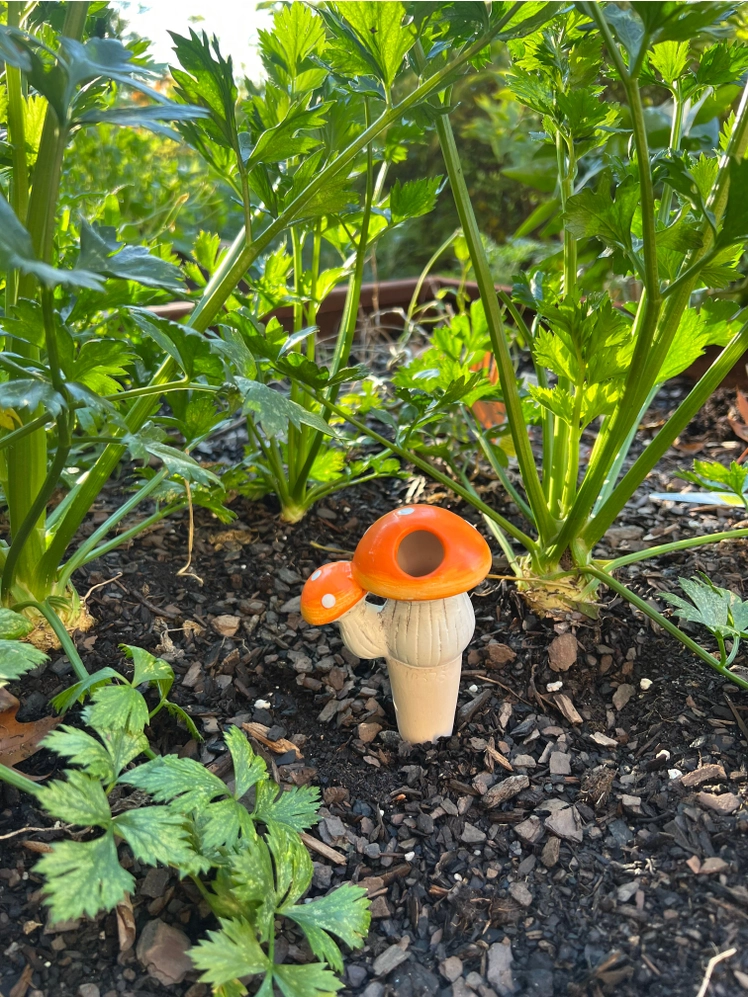 Mushroom Self Watering Spikes