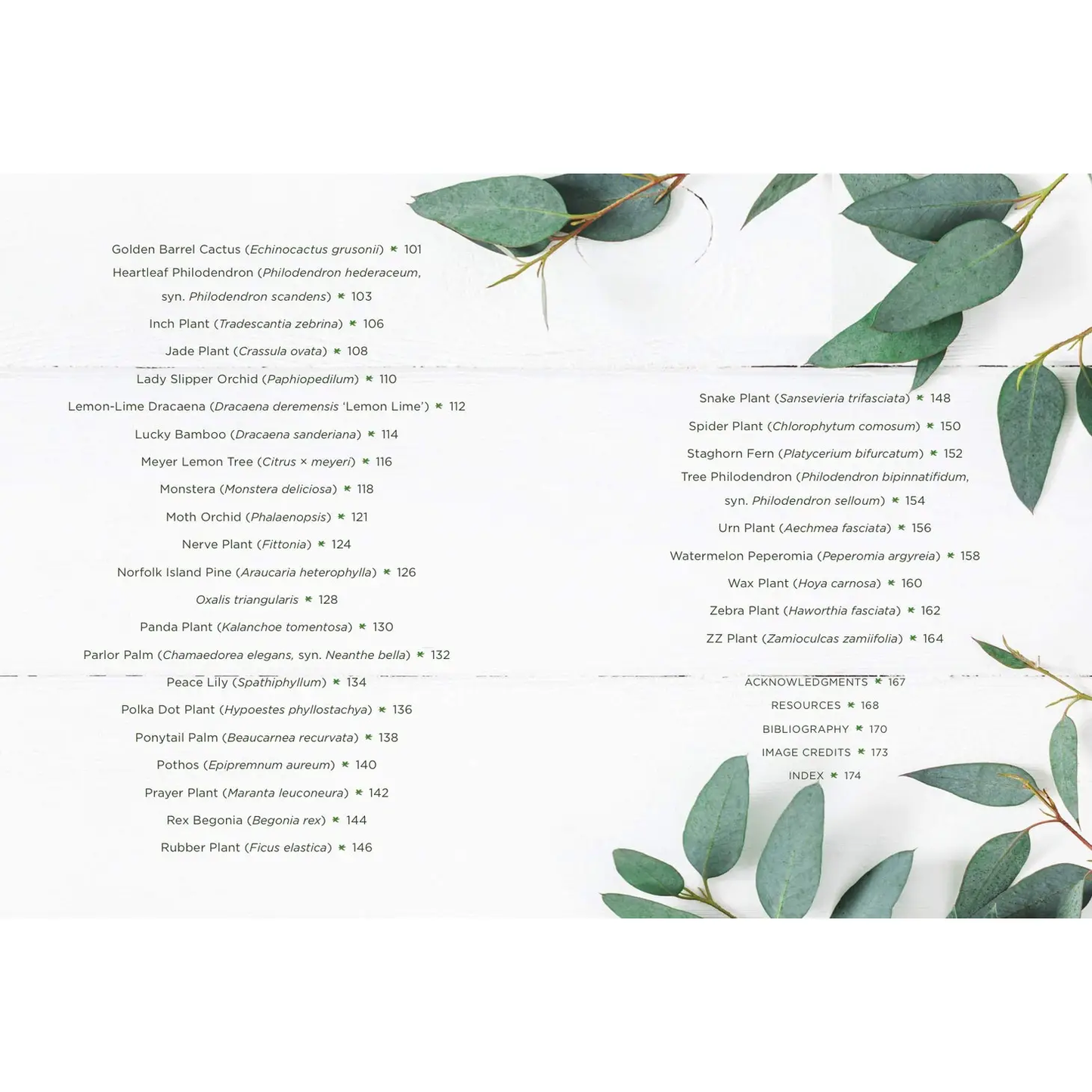 How to Houseplant