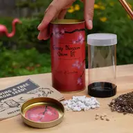 Japanese Cherry Seed Grow Kit