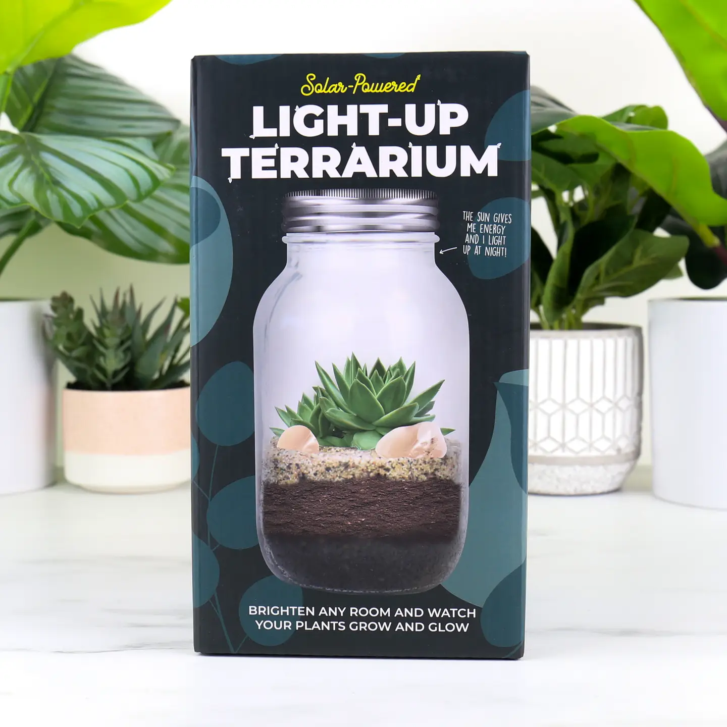 Light Up Terrarium Solar Light