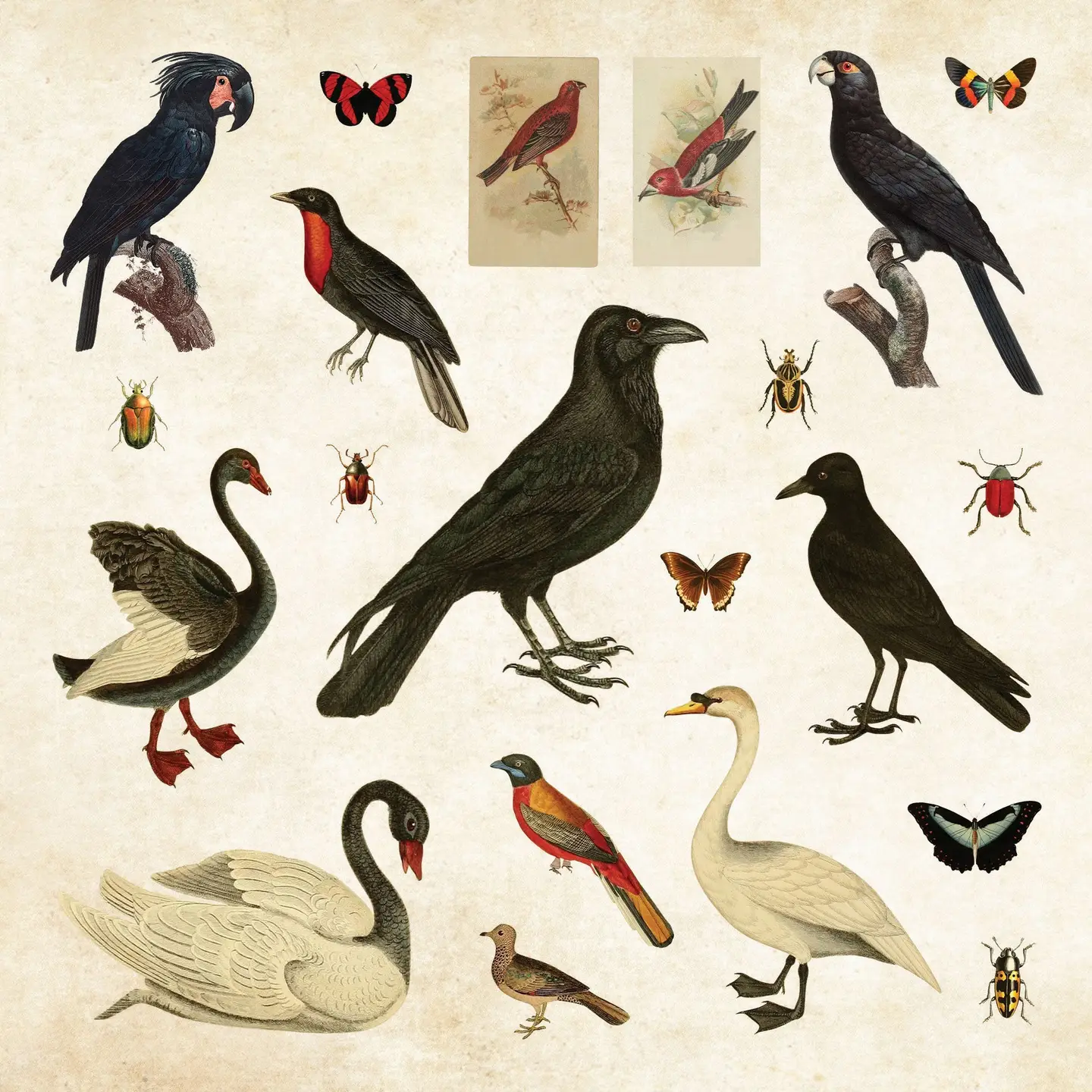 Mystical Ephemera! Vintage Sticker Book