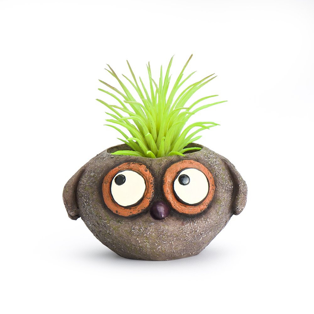 Baby Brown Owl Mini Planter