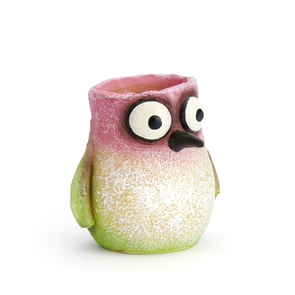Baby Hummingbird Mini Planter