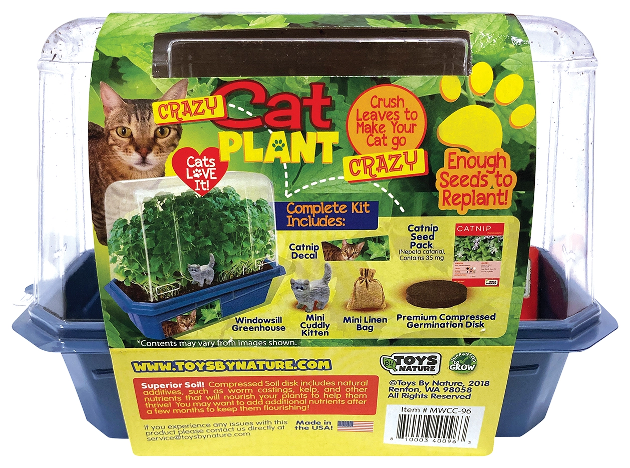 Crazy Cat Plant Mini World Terrarium Grow Kit