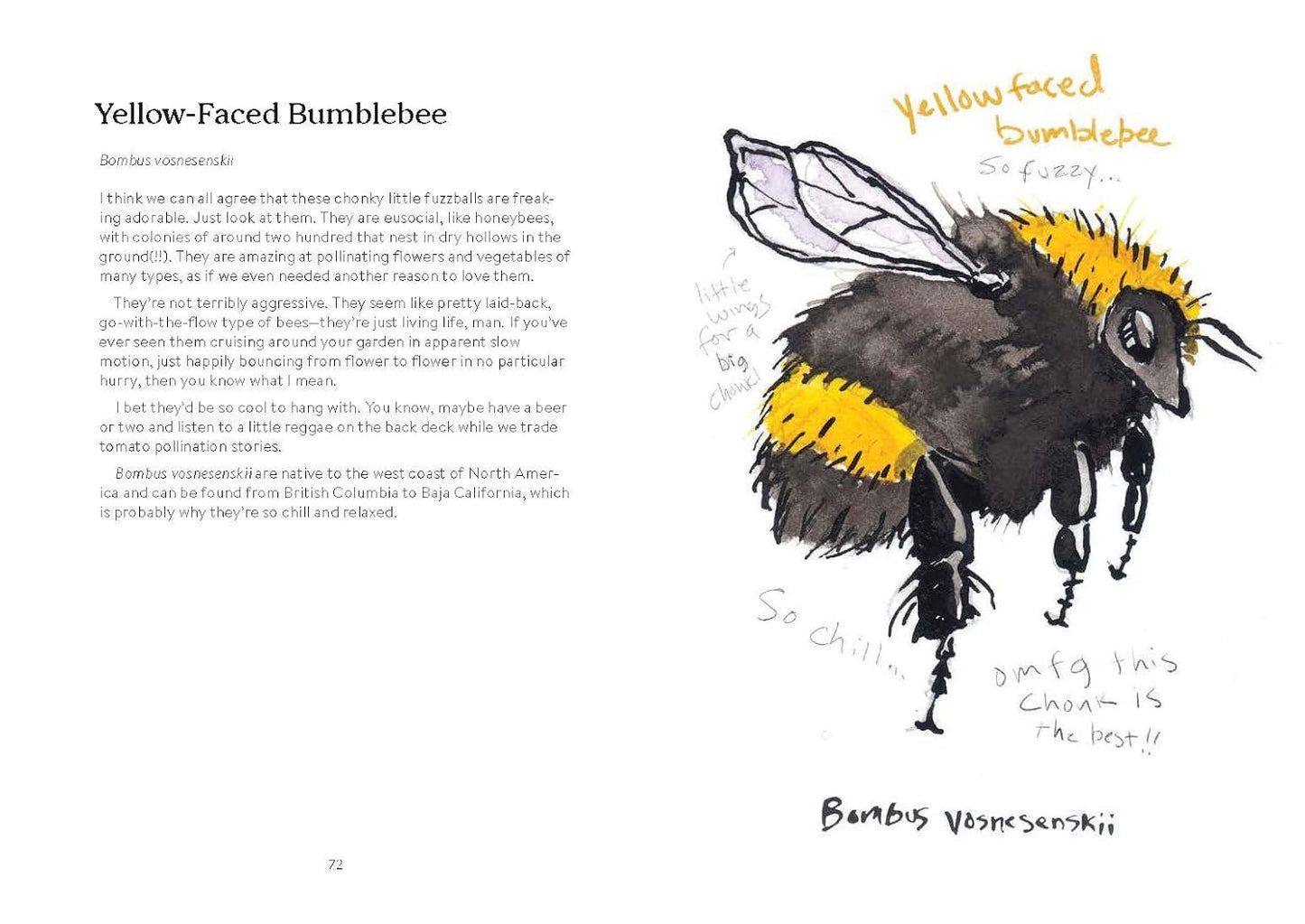 OMFG Bees Book