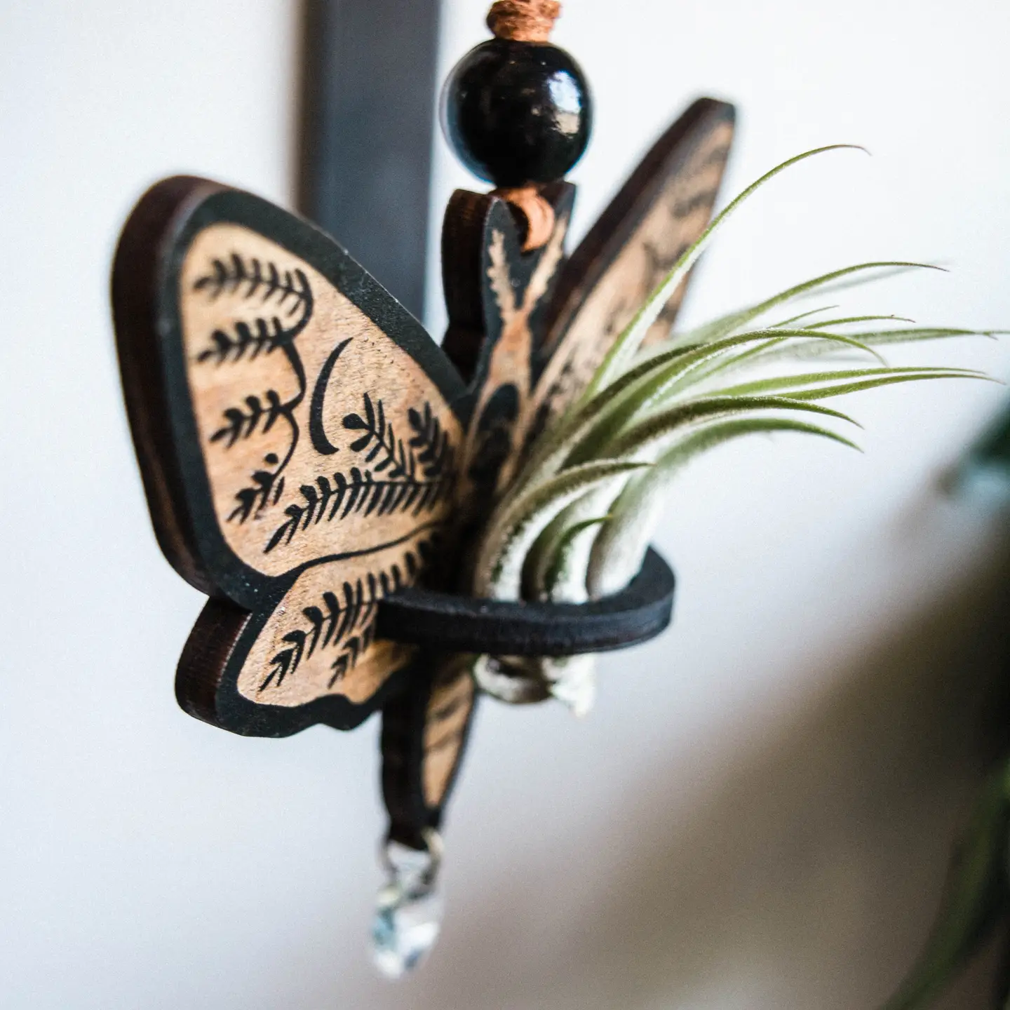 Death's Head Moth Air Plant Hanger Suncatcher