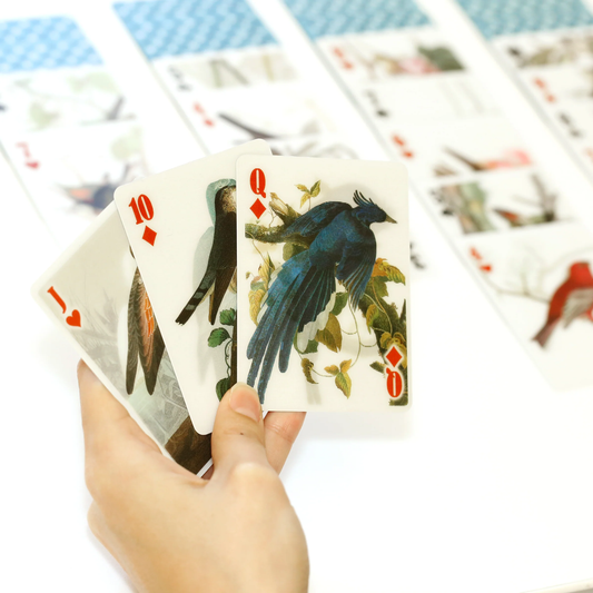 3D Playing Cards Birds
