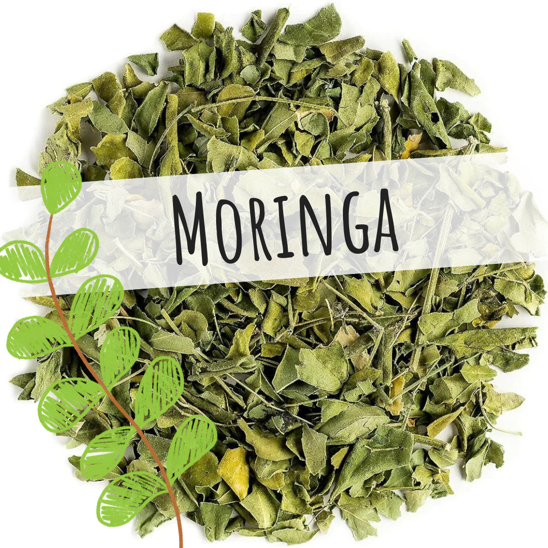 Moringa Loose Leaf Tea