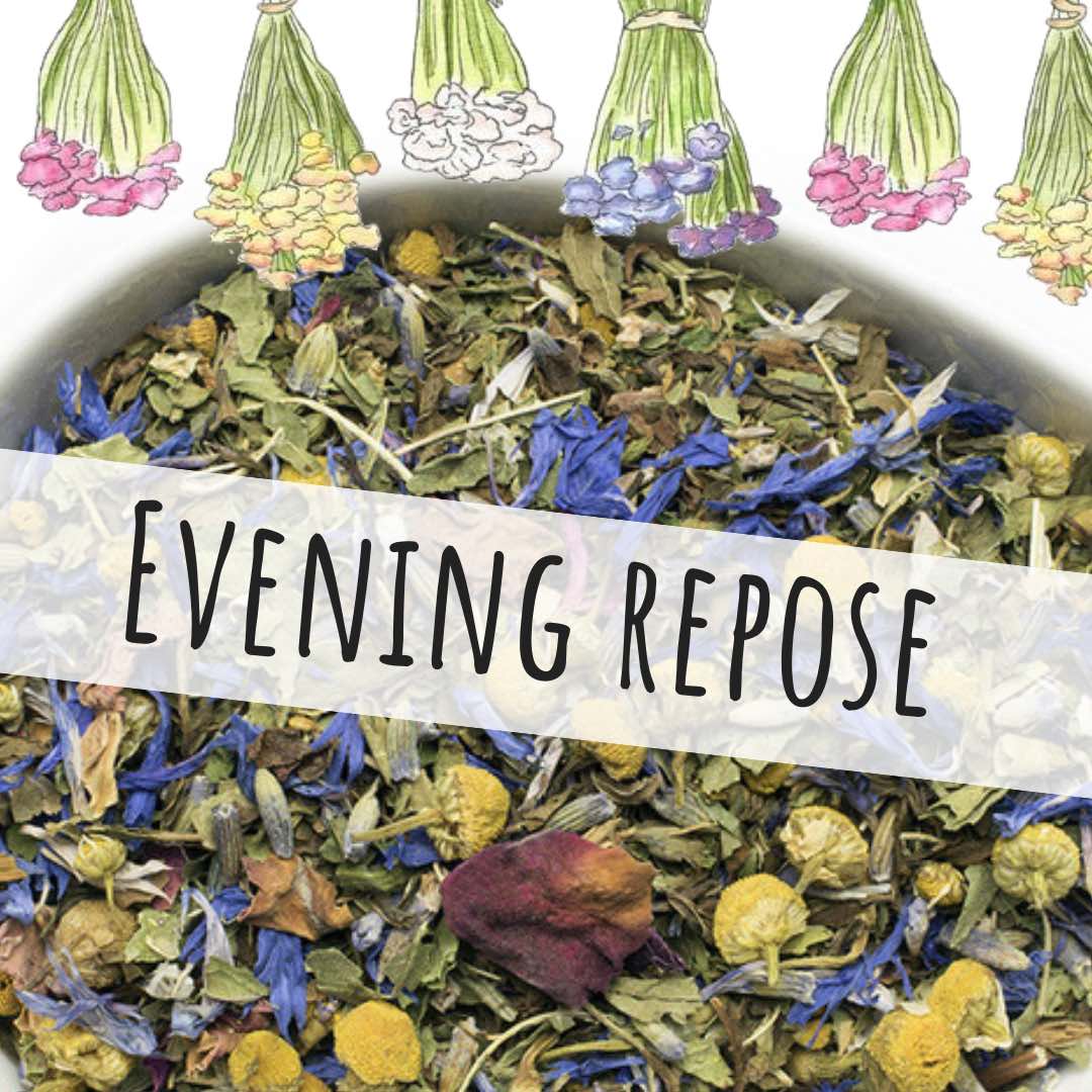 Evening Repose Loose Leaf Tea