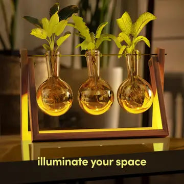 Light Up Bamboo Air Planter