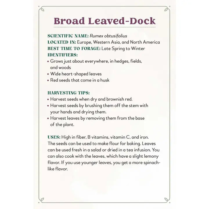 Enchanted Foraging Deck