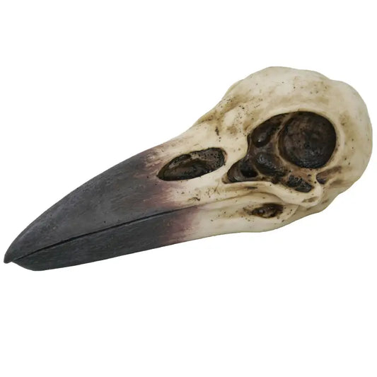 Raven Skull Box