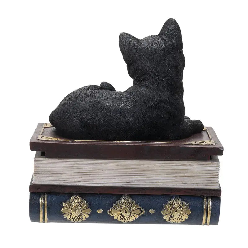 Black Cat on Book Box