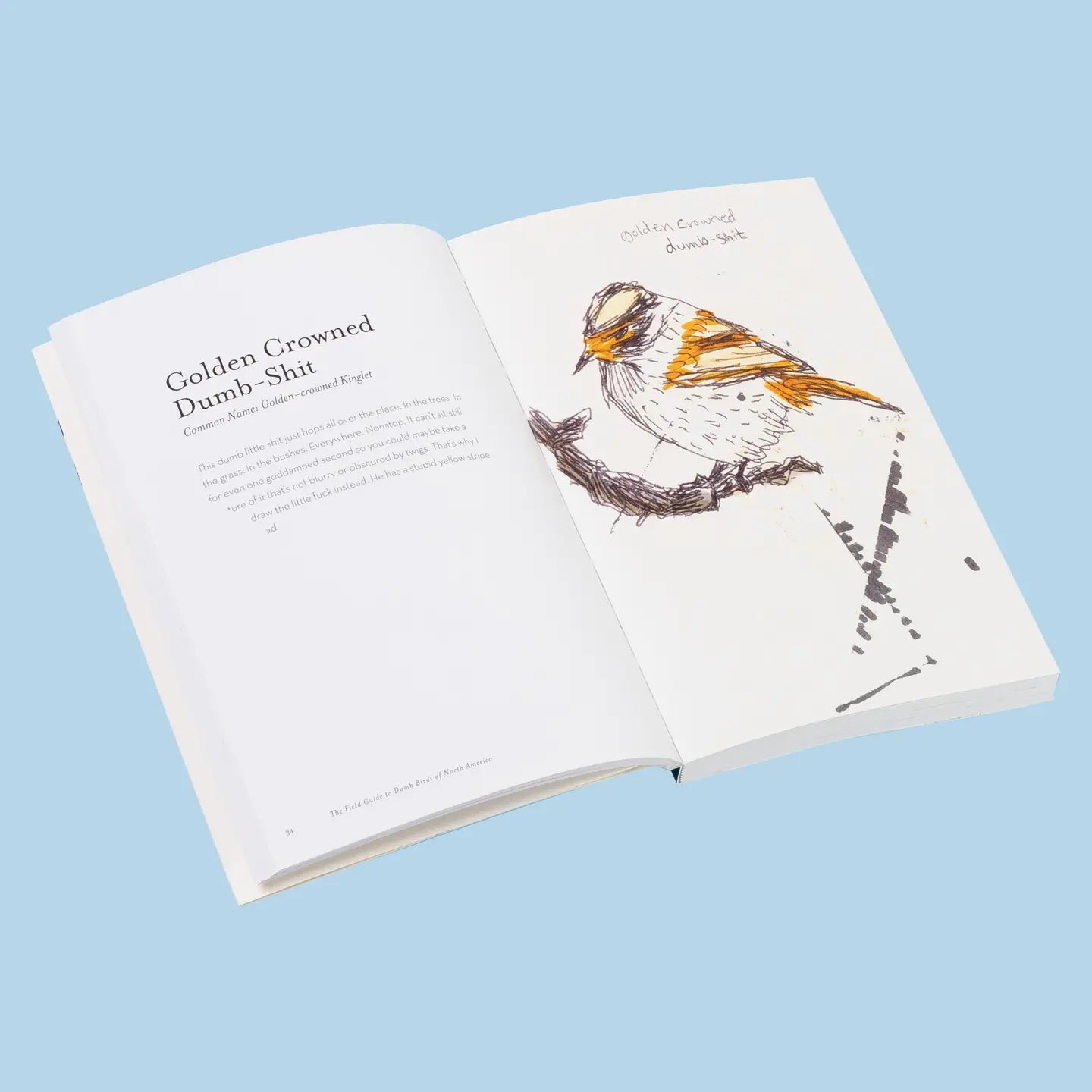 The Field Guide to Dumb Birds Book