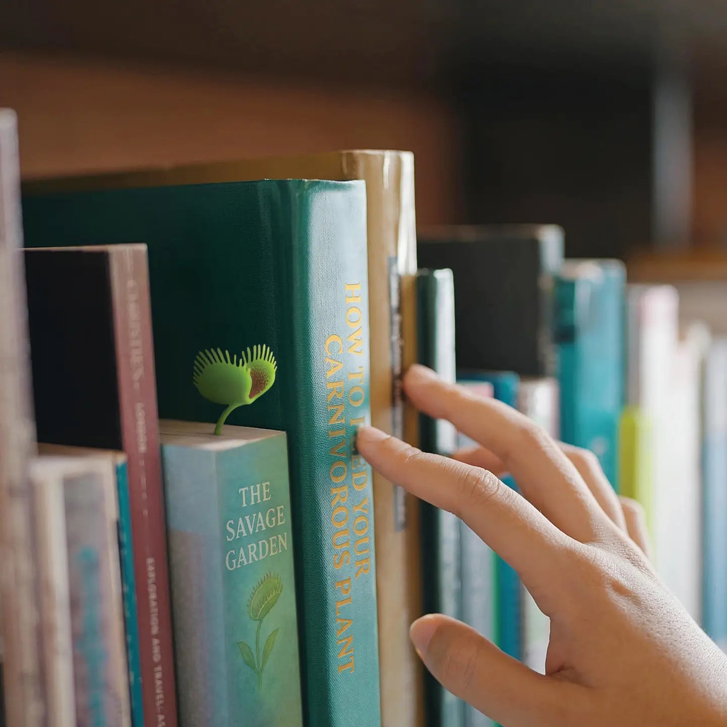 Venus Fly Trap Bookmarks