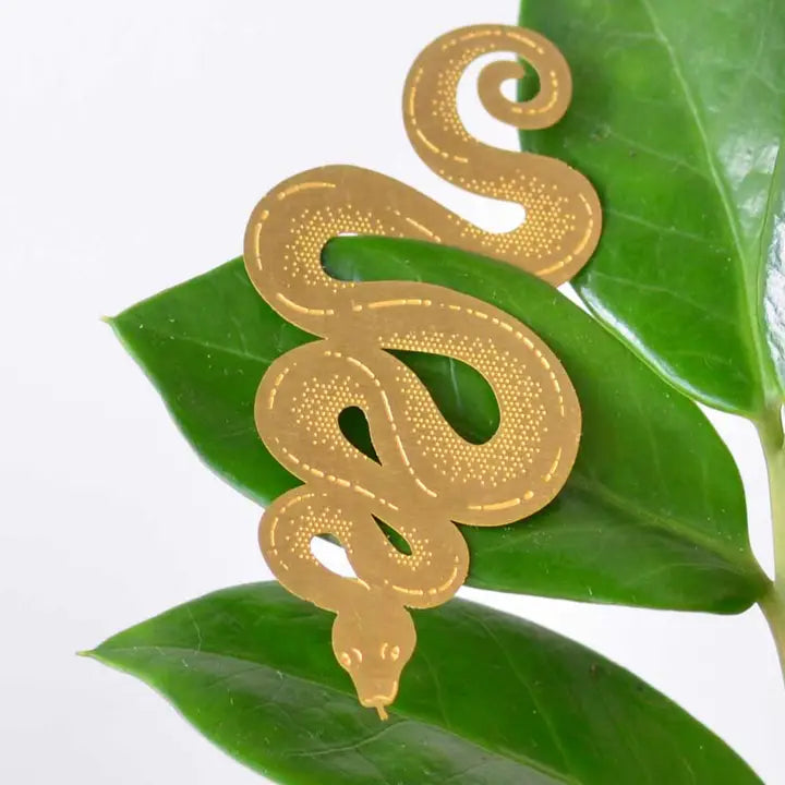 Plant Decoration - Snake