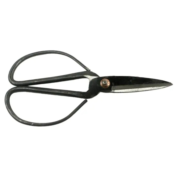 Forged Iron Shears Medium