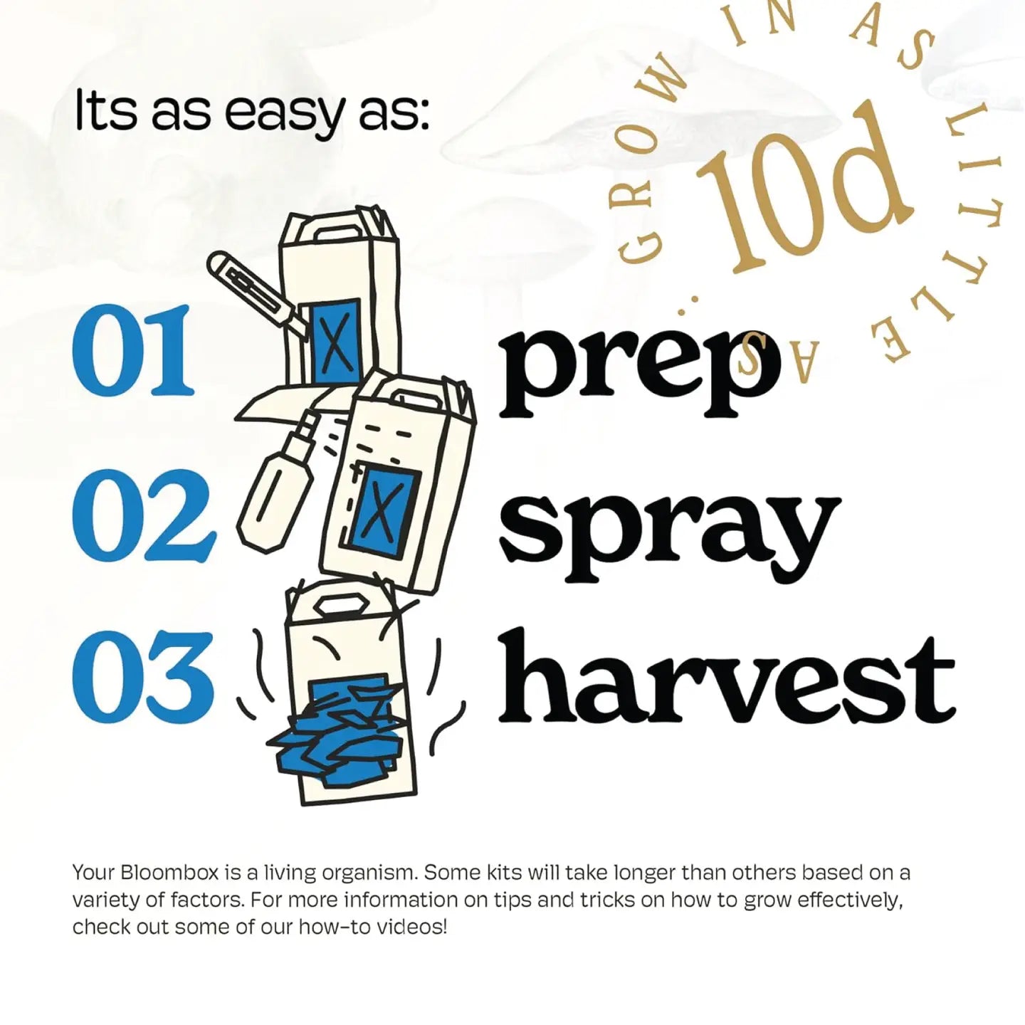 Mushroom Grow Kit Blue Oyster