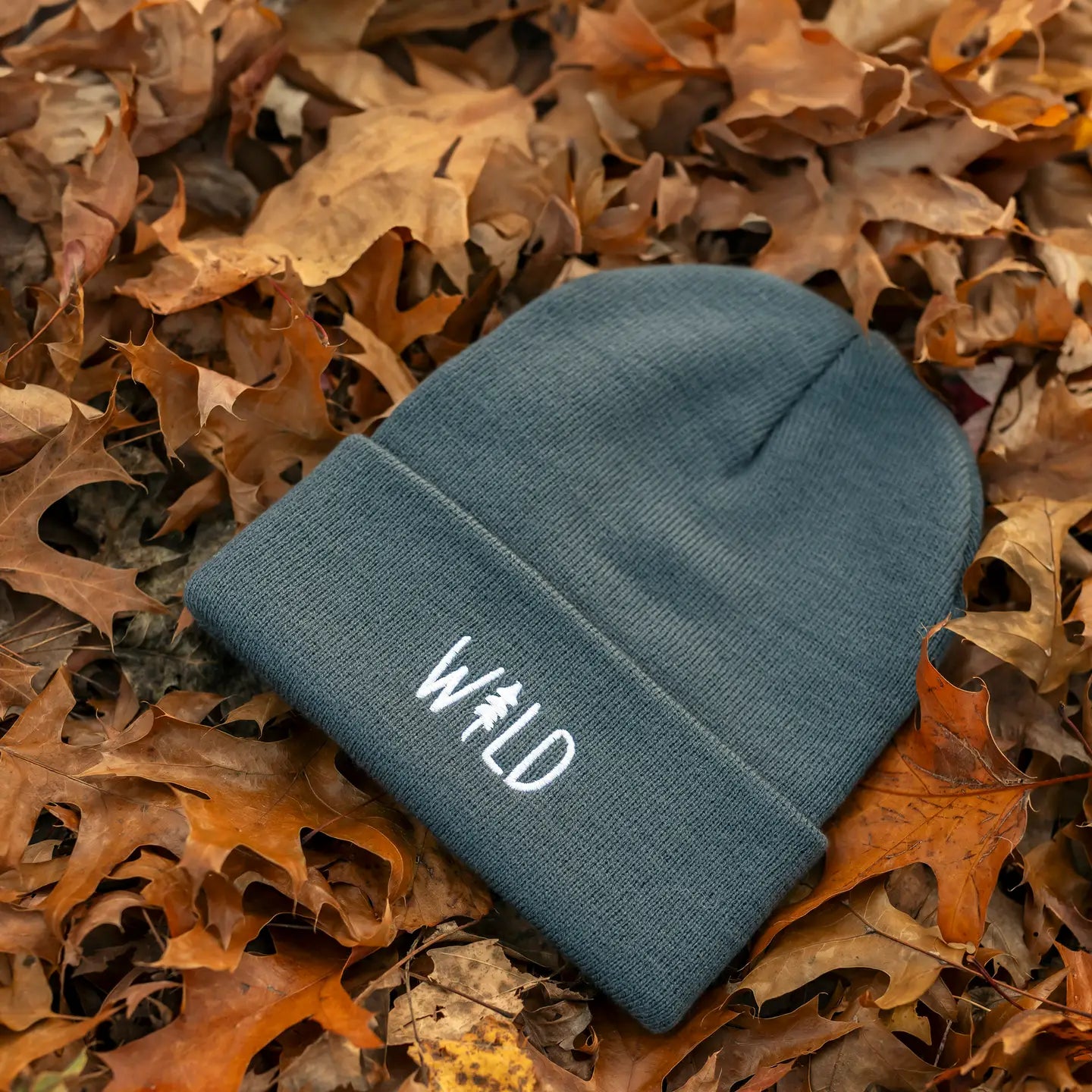 Wild Pine Cuffed Beanie - Slate