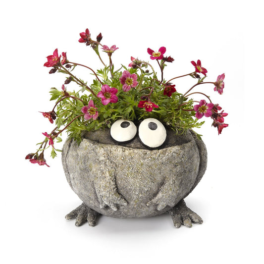 Baby Romeo Frog Planter