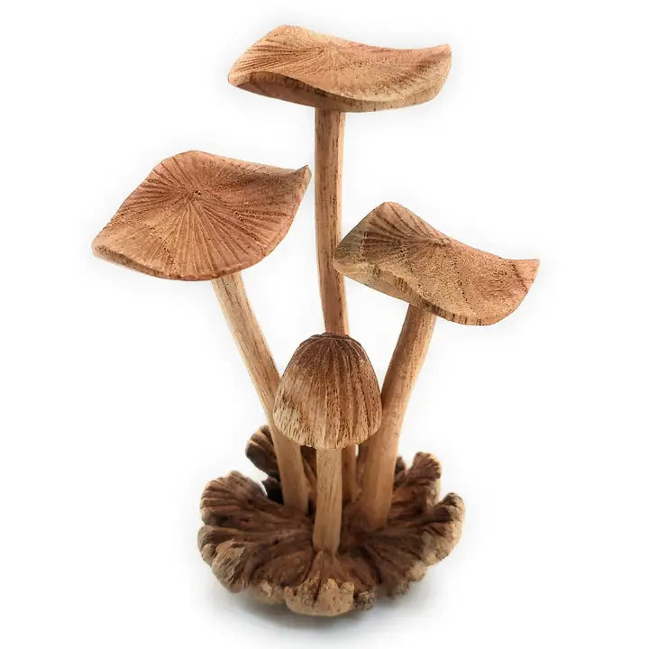 Hand Carved Wooden Mushrooms-Small