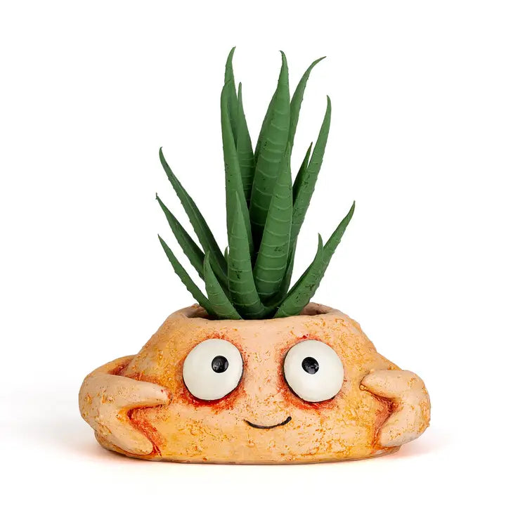 Pinch the Crab Planter