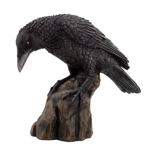 Raven on Stump Looking Down