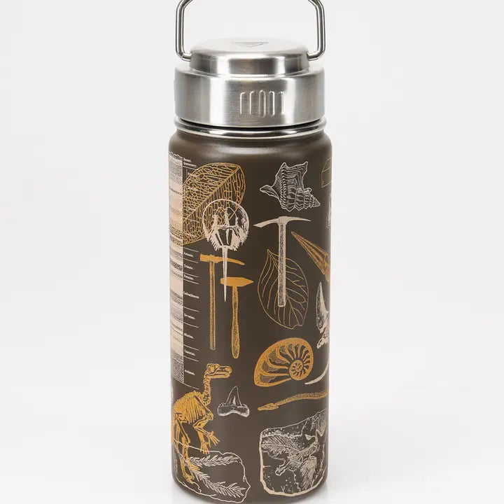 Dinosaurs Stainless Steel Vacuum Flask 18oz