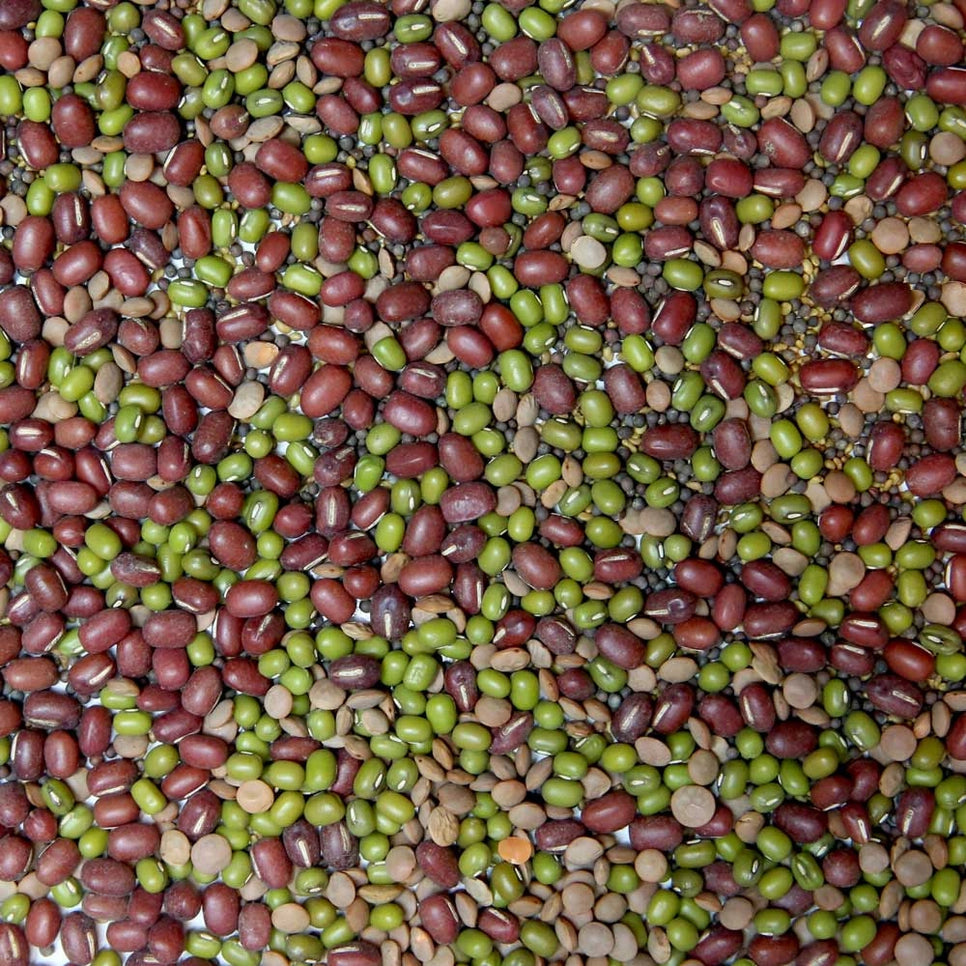 Organic Beans + Greens Sprouting Seeds 4oz