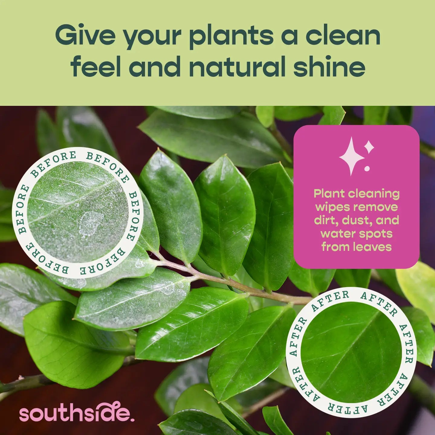 Houseplant Cleaning Wipes