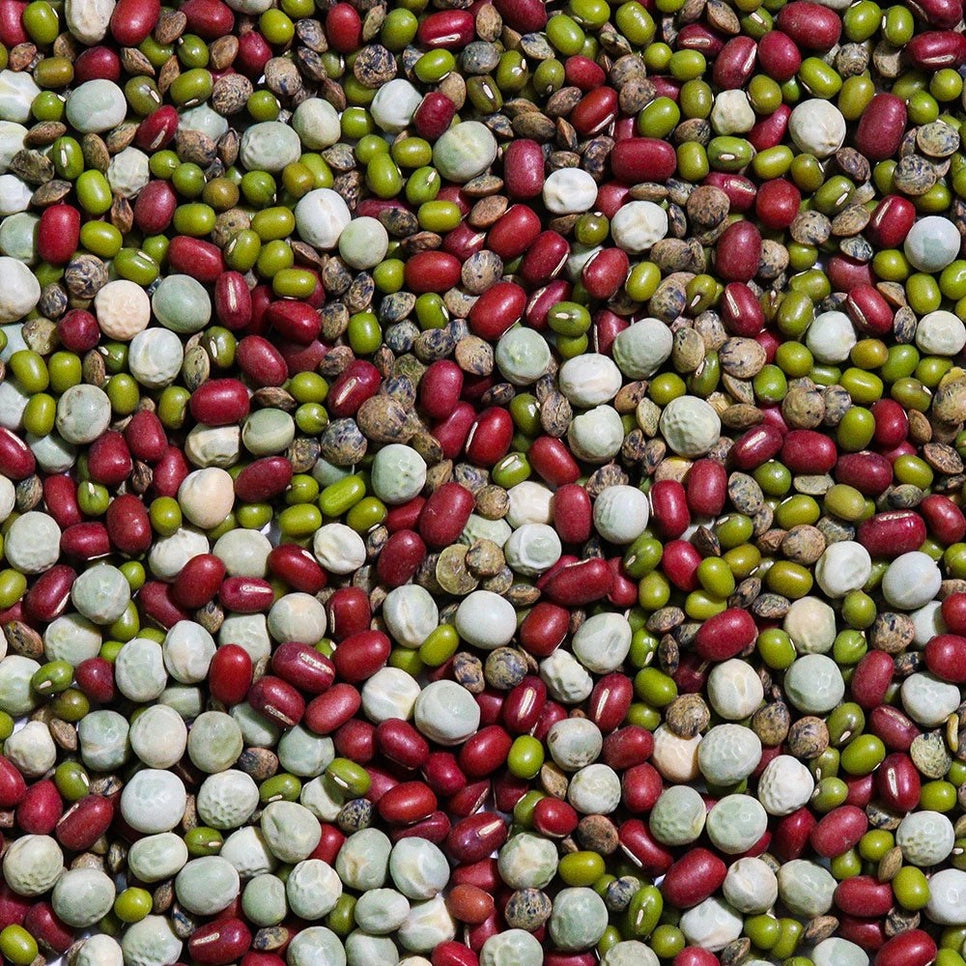 Organic Crunch Time Sprouting Seeds 4oz