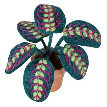 Felted Wool Prayer Plant