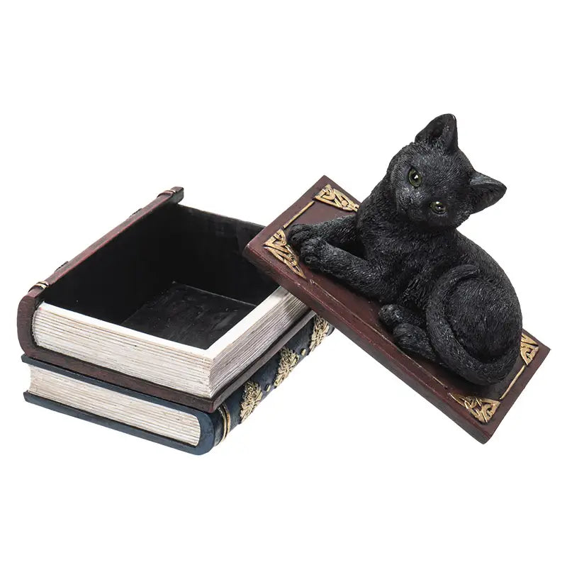 Black Cat on Book Box