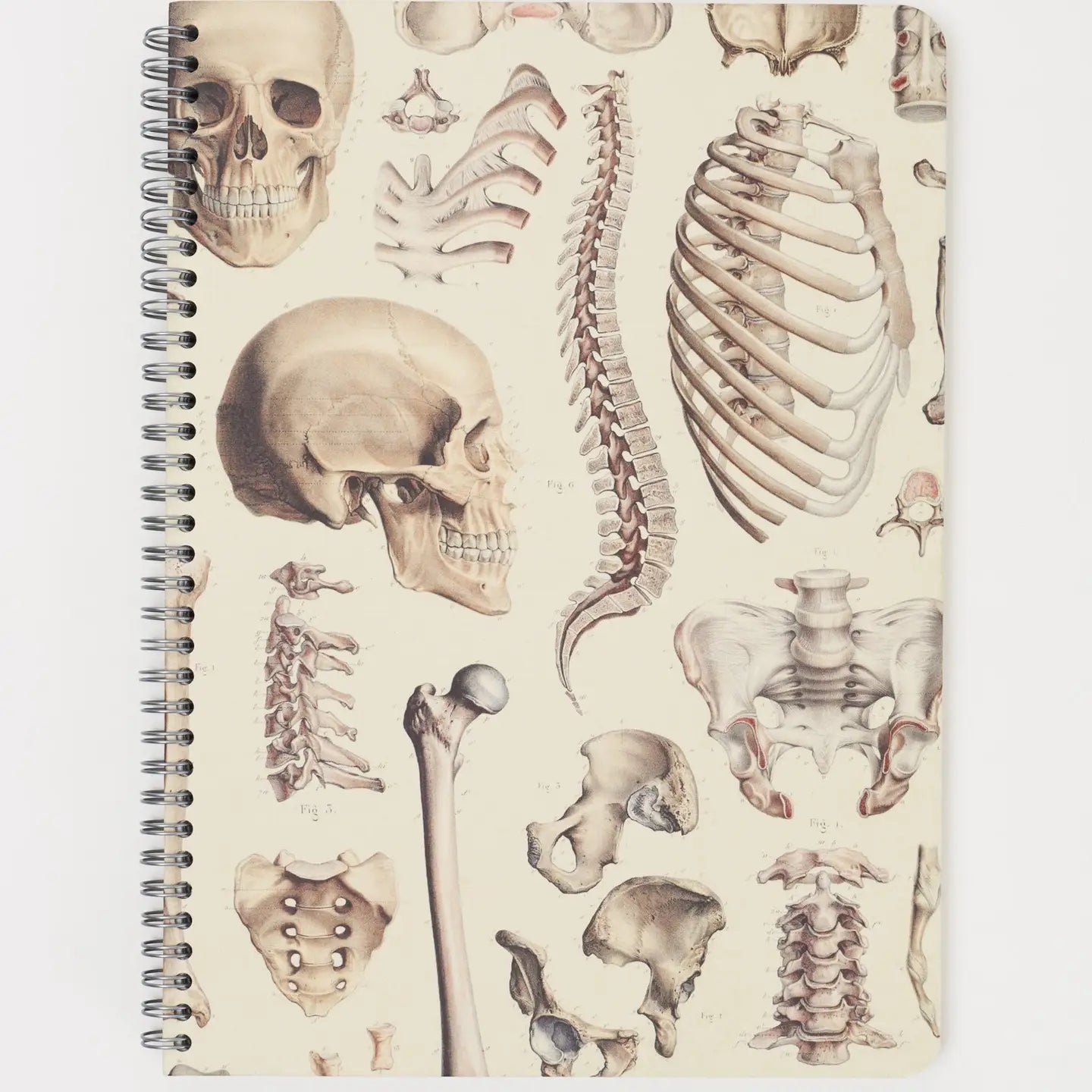 Skeleton Spiral Notebook