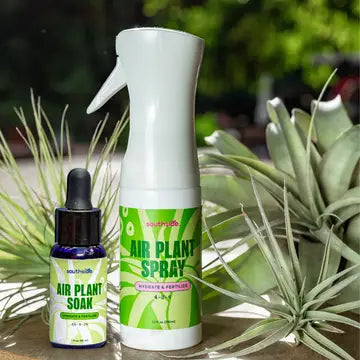 Air Plant Fertilizer Spray and Soak Concentrate 1 oz