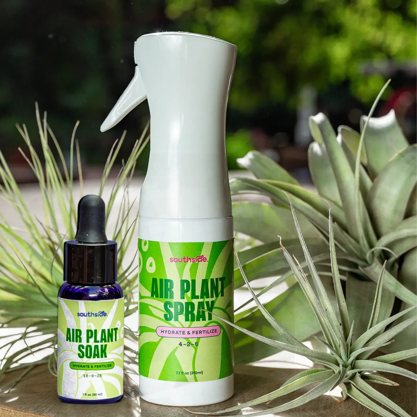Air Plant Fertilizer Spray 8oz