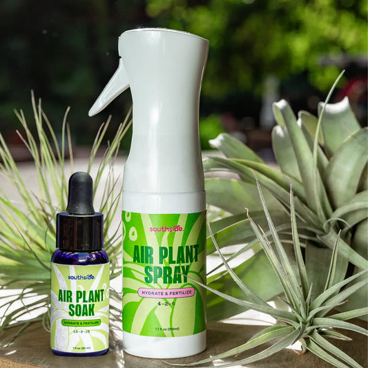 Air Plant Fertilizer Spray 8oz