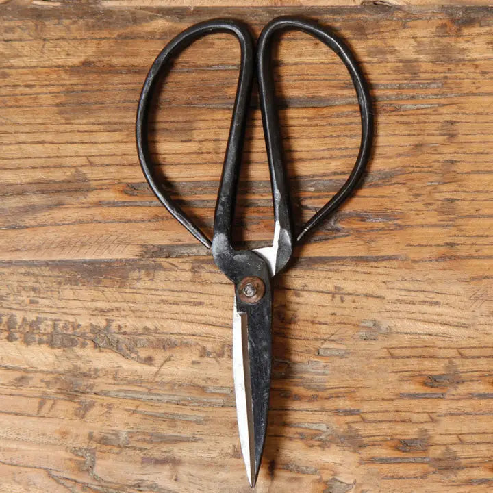 Forged Iron Shears Medium