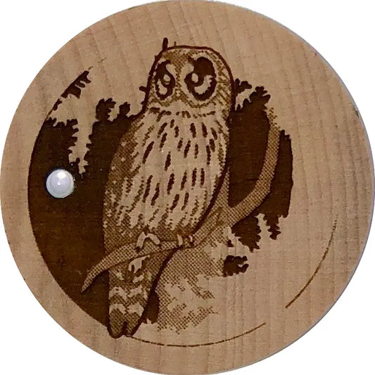 Owl Wooden Dreambox