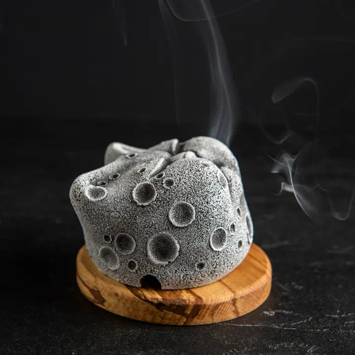 Grumpy Cat Planet Incense Burner