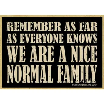 Remember We are Nice Normal Magnet