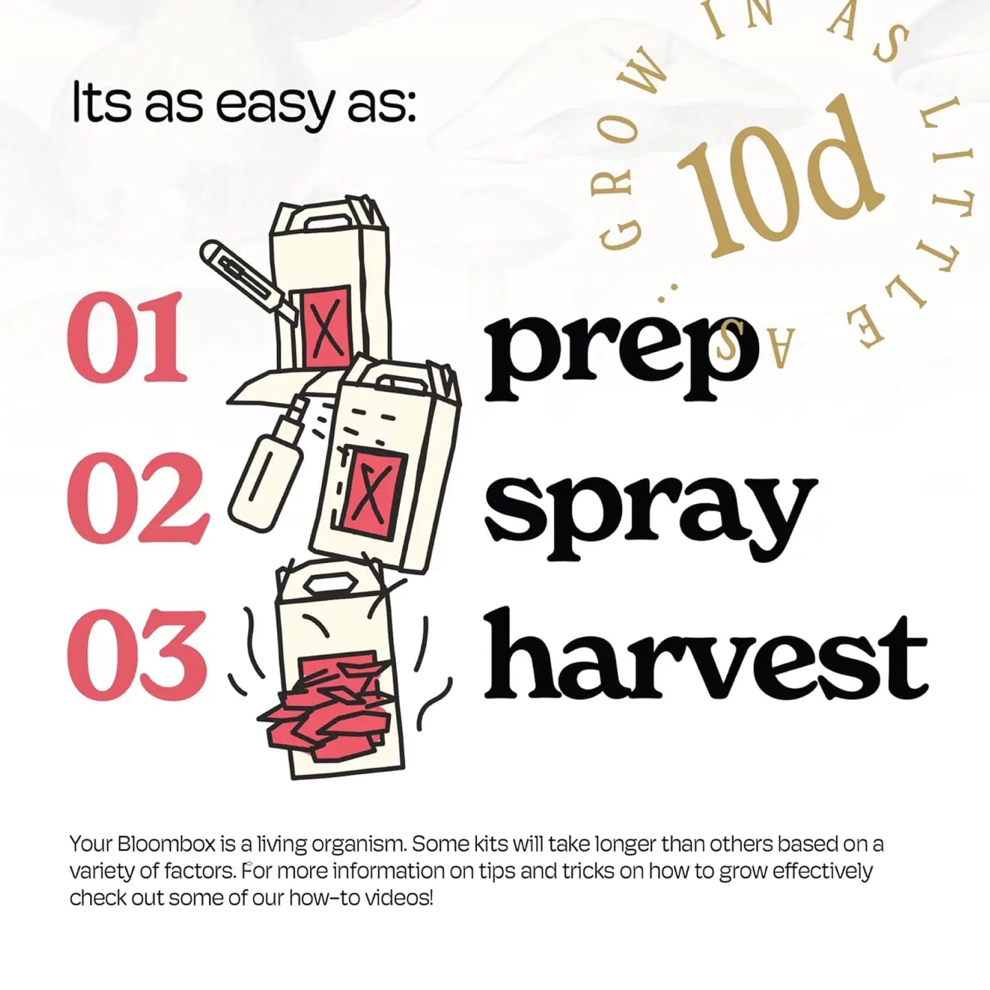 Mushroom Grow Kit Pink Oyster