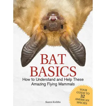 Bat Basics Book
