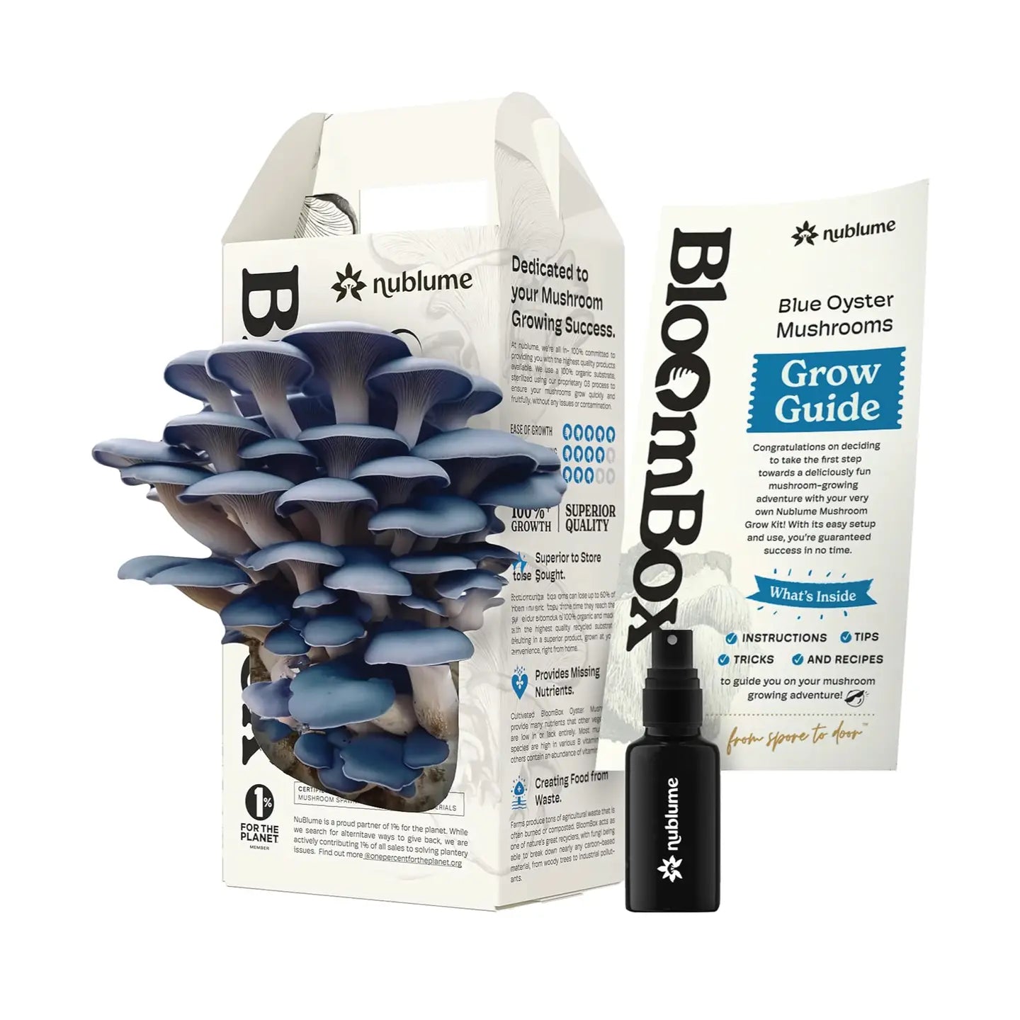 Mushroom Grow Kit Blue Oyster