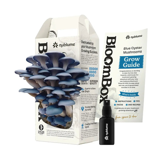 Mushroom Grow Kit Blue Oyster