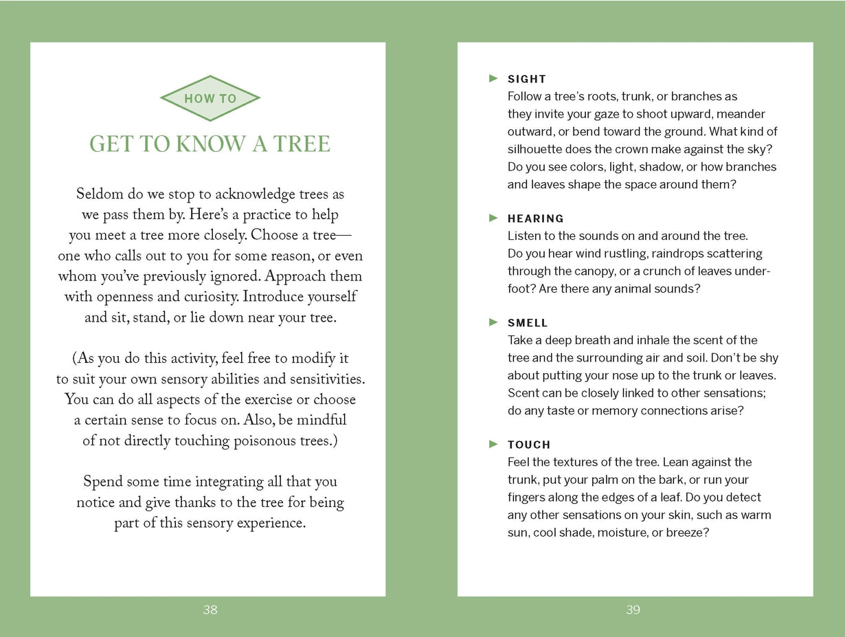 Tree Hugging Book